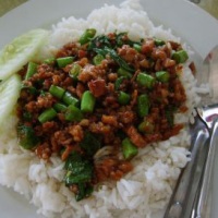 Pad Kaprow Gai or Moo ผัดกะเพราไก่หรือหมู (Thai Basil Chicken or Pork)